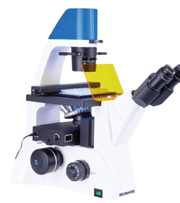 micro_2-removebg-preview